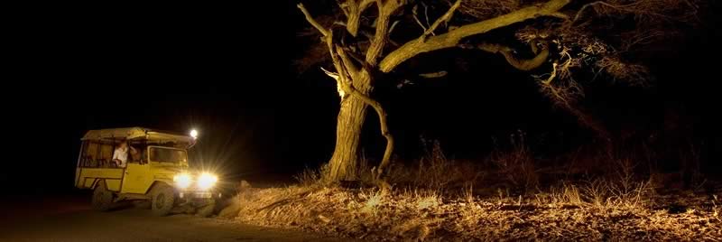 africa_serengeti_safaris_night_game_drive