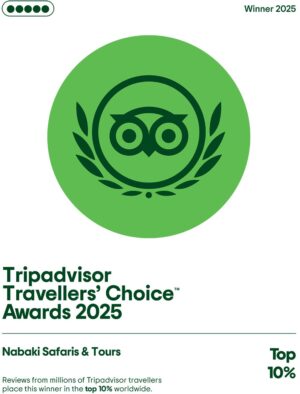 tripadvisor tripadvisor