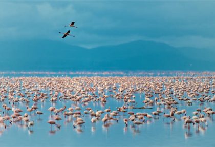 Manyara safari itinerary