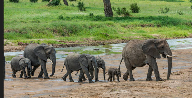 top safari routes in Tarangire