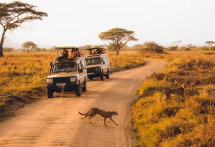 Tarangire day trips