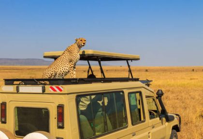 Tarangire safari packages