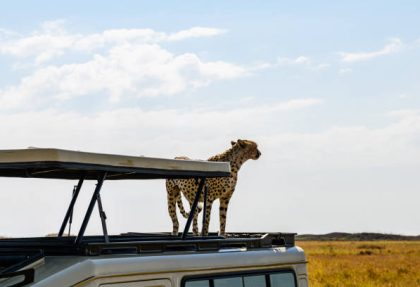 Tarangire day trips