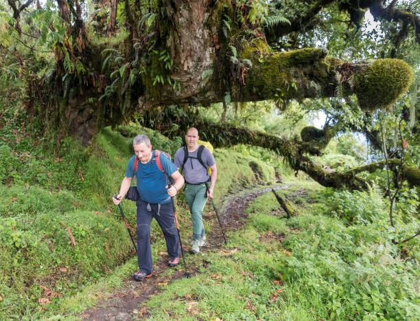 hiking Mount Meru in rainy season