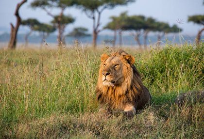 How to Book a Safari in Tanzania