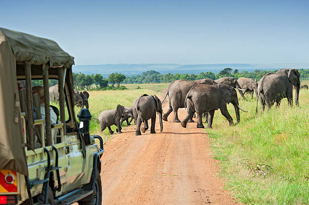 Responsible tourism in Tanzania