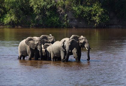 best time to visit Tarangire