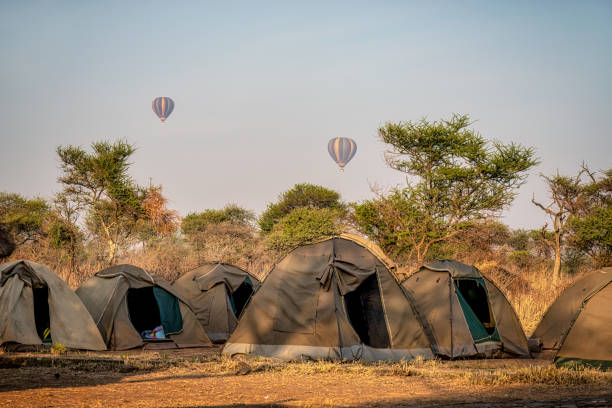 Serengeti camping experience