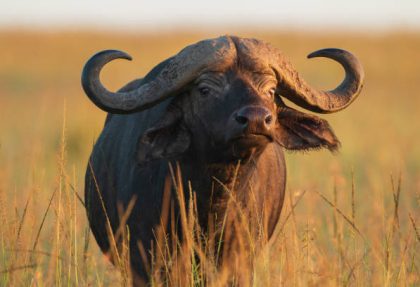 top routes in Manyara