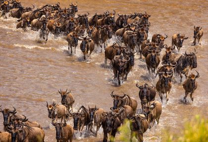 Serengeti safari itineraries