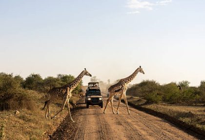 Serengeti safari vehicles guide