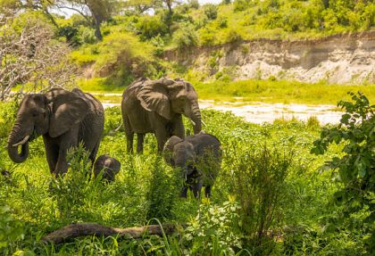 top safari routes in Tarangire