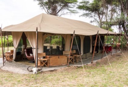 Serengeti camping experience