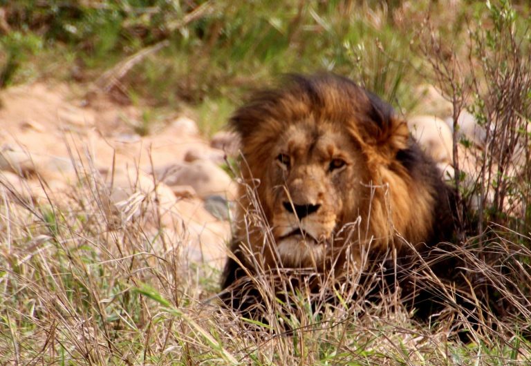 Tarangire Eco-Tourism Guide