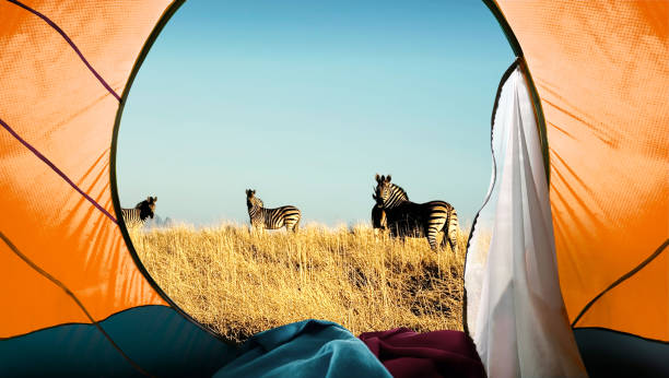 Ngorongoro camping spots
