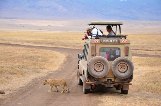 Ngorongoro for family