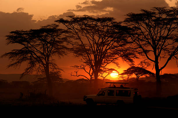 sunset in Tanzania