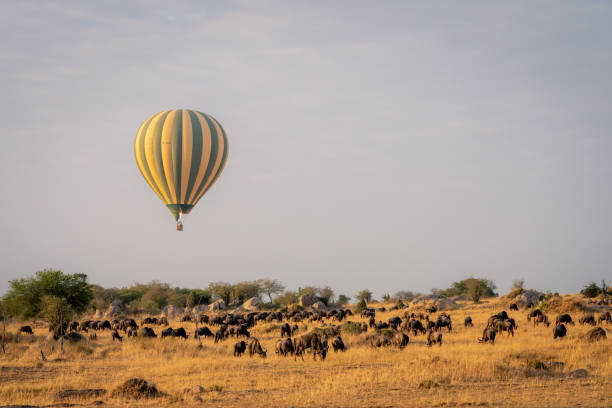 Day Trips in Serengeti