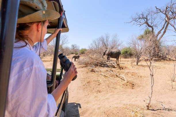 Ngorongoro Safari Tips