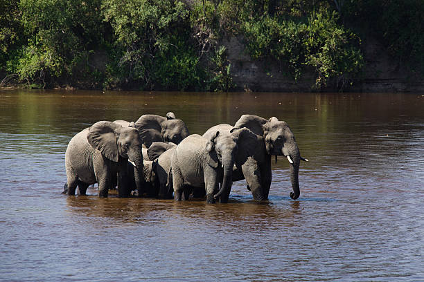 Best Time to Visit Tarangire