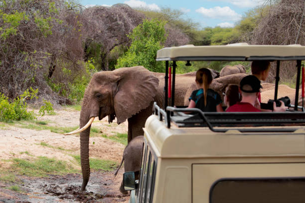 Manyara for Family Tips