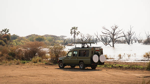Manyara Travel Packages