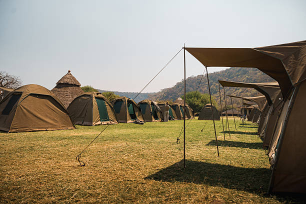 Ngorongoro safari itineraries