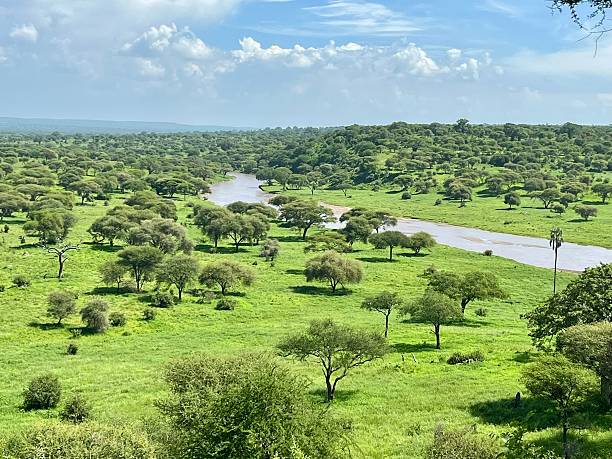 Tarangire Best Scenic Views