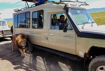 best Ngorongoro safari day trip itinerary