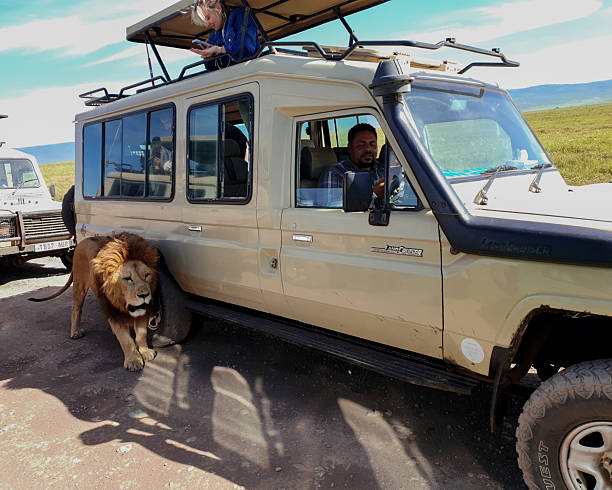 best Ngorongoro safari day trip itinerary