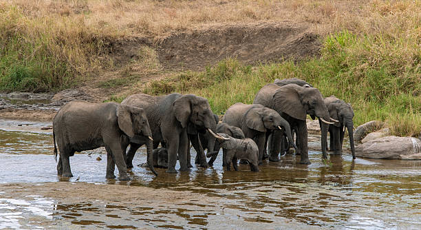 Tarangire Hidden Gems