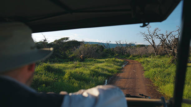 Top Routes in Ngorongoro