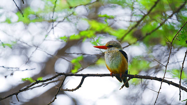 Manyara Hidden Gems
