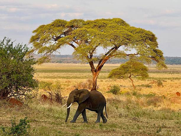 Manyara Hidden Gems