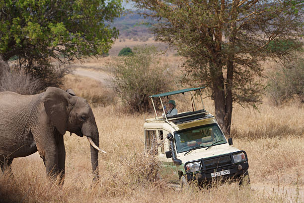 Ngorongoro nature walks
