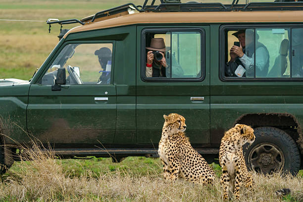 Best Safari Company in Tanzania