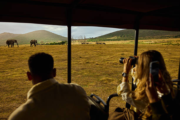 Tarangire Travel Tips
