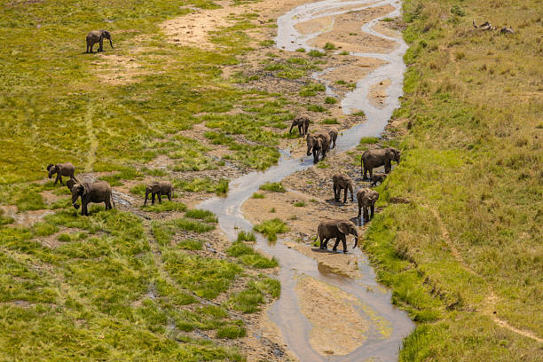  Top Routes in Manyara