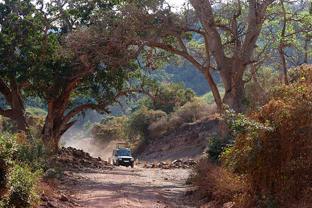 Ngorongoro nature walks