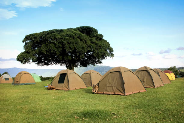 Ngorongoro camping spots