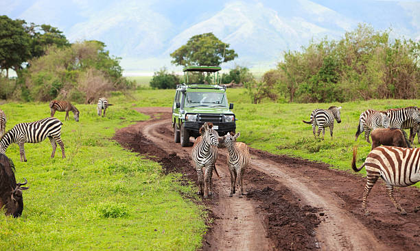 Ngorongoro safari itineraries