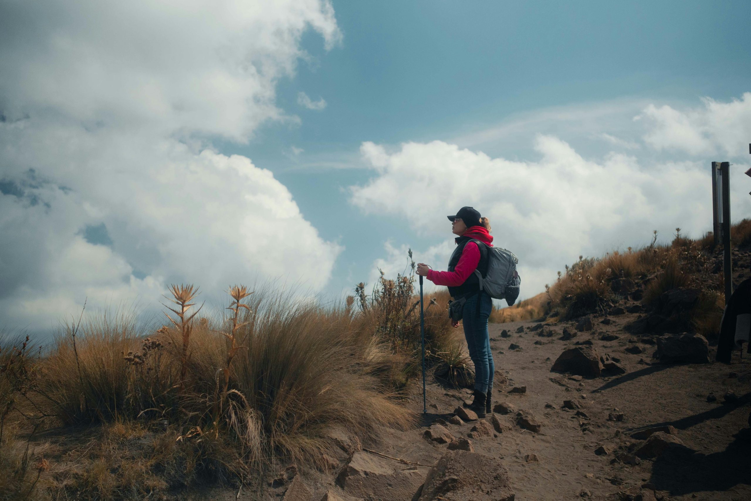 best Kilimanjaro tour company