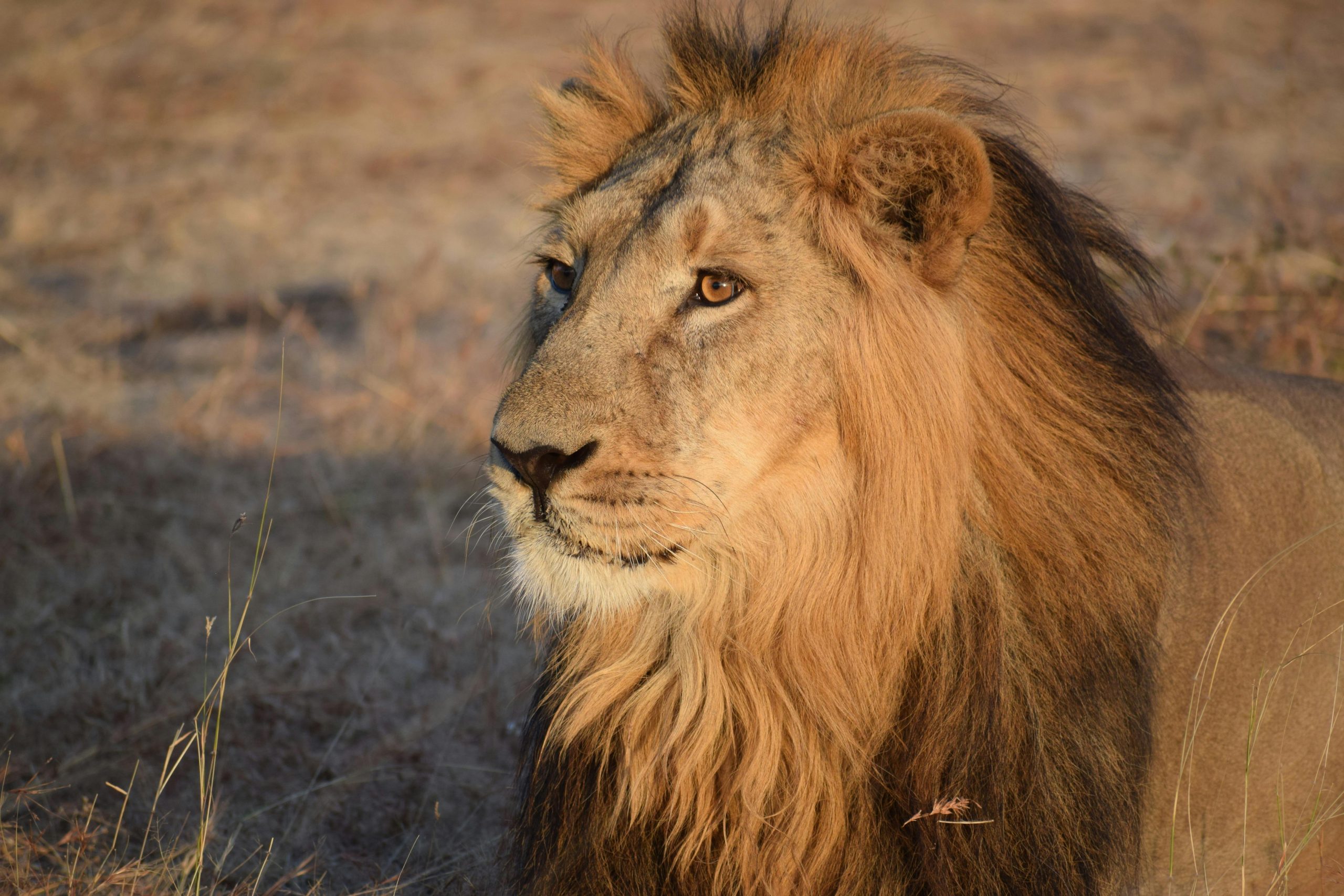 Best Tour Operator in Tanzania